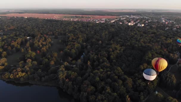 Gyönyörű Lufik Repülnek Erdő Park Város Felett — Stock videók