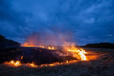 Kuru otlarla dolu bir arazide akşam ateşi. Geceleri kuru buğday yanıkları. Arka planda gök gürültülü bulutlar.
