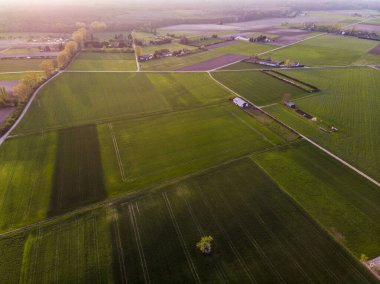 Alman kenti Viernheim yakınlarındaki farklı tarlaların üst görüntüsü. Yeşil ve biçilmiş tarlalar. Küçük çiftlikler.