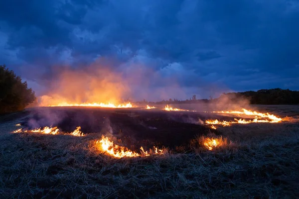 Kuru otlarla dolu bir arazide akşam ateşi. Geceleri kuru buğday yanıkları. Arka planda gök gürültülü bulutlar.