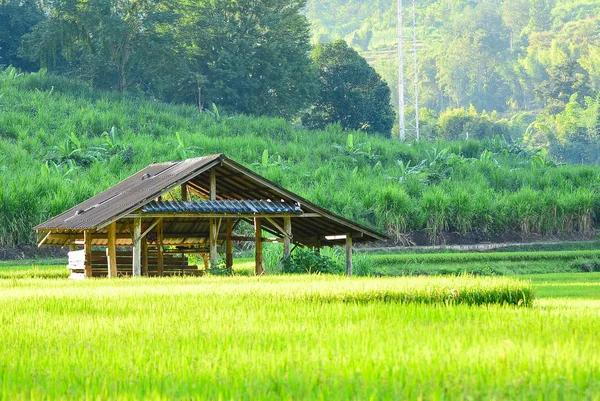 Cottage contadino Situato in mezzo al campo — Foto Stock