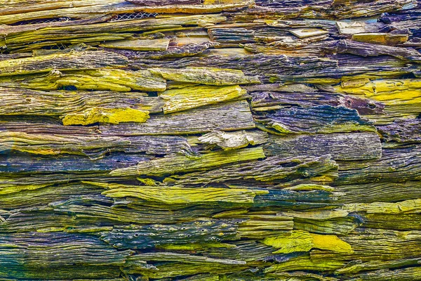 Textura da casca da árvore velha, amarelo e marrom — Fotografia de Stock