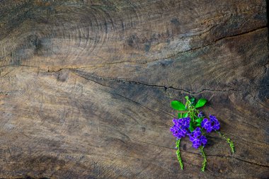 Menekşe ve eski ahşap masa üzerinde mor çiçekler 