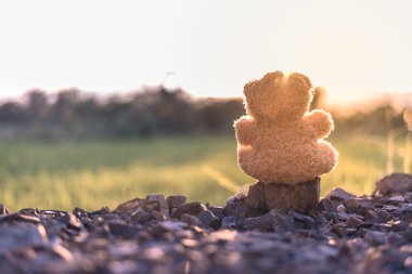 Oyuncak ayı oyuncak bebek oyuncak eski vintage sesi ile yalnız gün batımını izlemek 