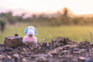 Köpek bebek alanda parlama efekti ve vintage