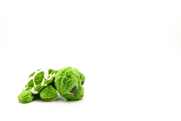 Green turtle doll with sad emotion isolated on white — Stock Photo, Image
