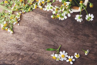 kopya alanı eski ahşap zemin üzerine beyaz çiçekler 