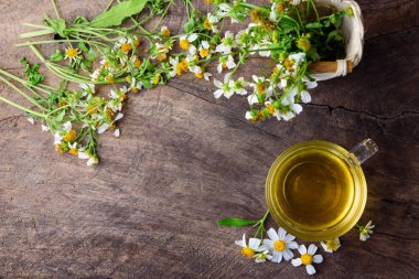 Papatya çayı çay papatya çiçeği ile