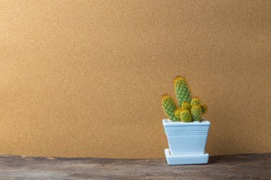 kaktüs seramik tencere ve ahşap masa çiçek sepeti