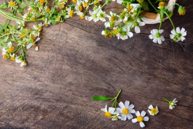 kopya alanı eski ahşap zemin üzerine beyaz çiçekler 
