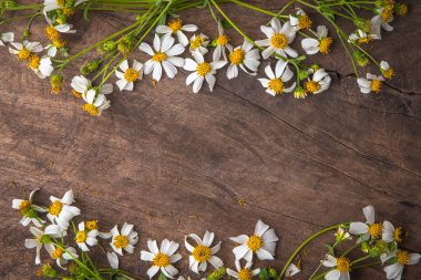 Beyaz papatya çiçek ve bas ket çiçek vintage ahşap tablo 