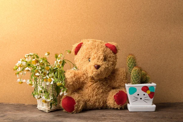 Cesta de flores secas y un osito de peluche con macetas de cactus sobre mesa de madera con fondo de papel marrón viejo, tono cálido — Foto de Stock