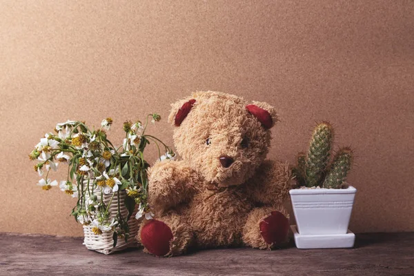 Cesta de flores secas y un osito de peluche con macetas de cactus sobre mesa de madera con fondo de papel marrón viejo, vintage y pastel . — Foto de Stock
