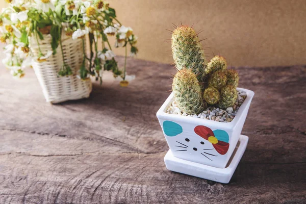 Kaktus w ceramiczny garnek i kosz kwiatu na drewnianym stole — Zdjęcie stockowe