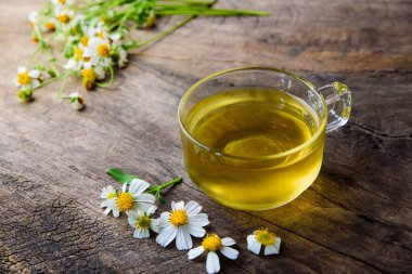 Papatya çayı çay papatya çiçeği ile