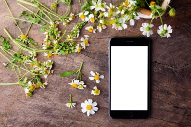  siyah akıllı telefon ve eski ahşap panosunda geri beyaz çiçekler