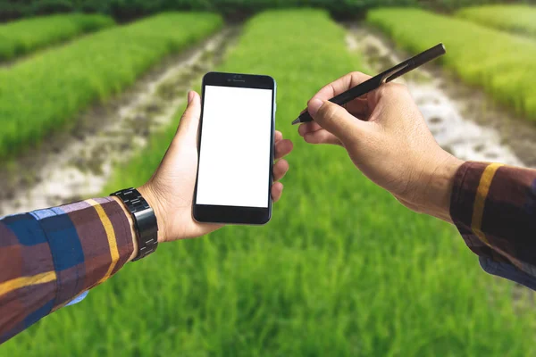 Rękę trzymając pusty inteligentny telefon i długopis ekologia rolnictwo — Zdjęcie stockowe