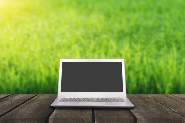 Laptop ile yeşil pirinç alan ahşap masa boş ekran ile bir