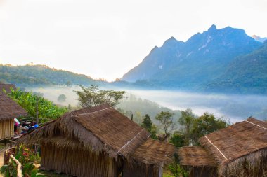Güzel sahne sırasında zaman Doi Luang Chiang Dao Muz ağaçları ile korunan yaban hayatı alanlarda aşağıdan gündoğumu görünümünü.