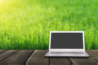 Laptop ile yeşil pirinç alan ahşap masa boş ekran ile bir