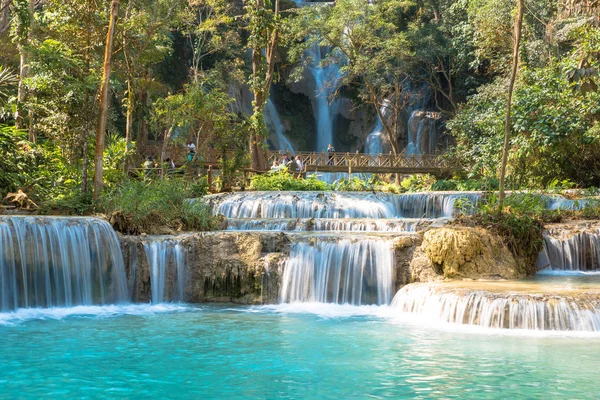 Şelale orman, adları 