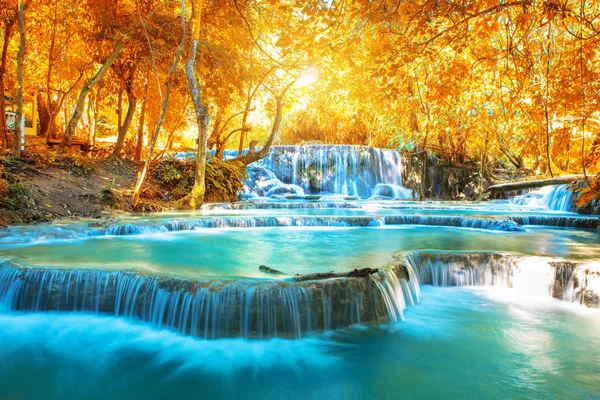 Şelale orman, adları 