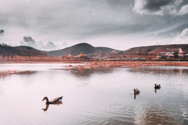 Güzel Tibetli Budist manastır (Songzanlin tapınak veya gerginim