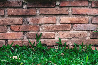 Eski tuğla duvar arka dekoratif çim üzerinde vintage sesi ile