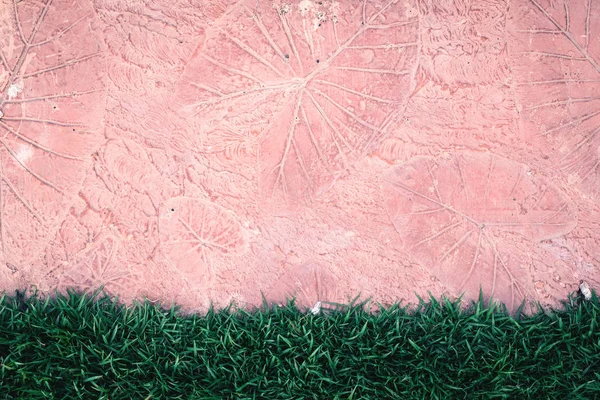 アイビー、サボテン、背景テクスチャとして草の古い石壁 — ストック写真