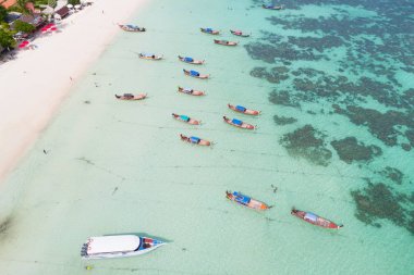 Havadan görünümü üzerinde grup uzun kuyruk teknelerin dron, K görünümünden Top