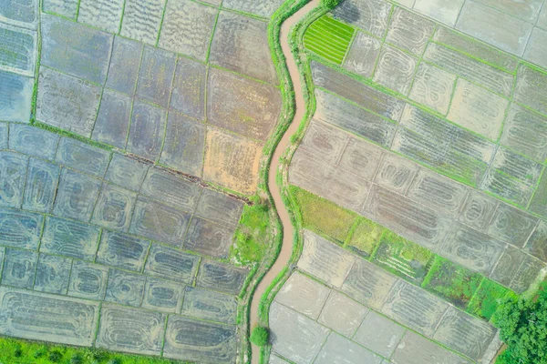 飛行で緑の田んぼのドローンからトップ空撮写真 — ストック写真