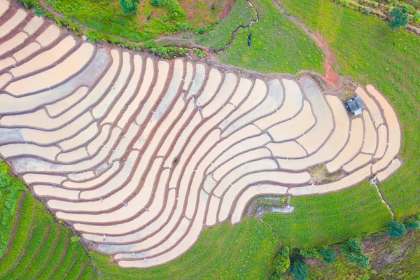 Foto aerea vista dall'alto dal drone volante di risaie verdi in — Foto Stock