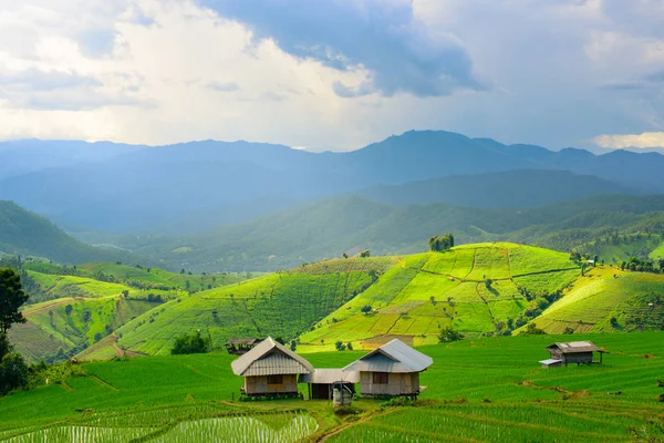 Vista di risaie verdi terrazza montagna con cottage in conteggio — Foto Stock