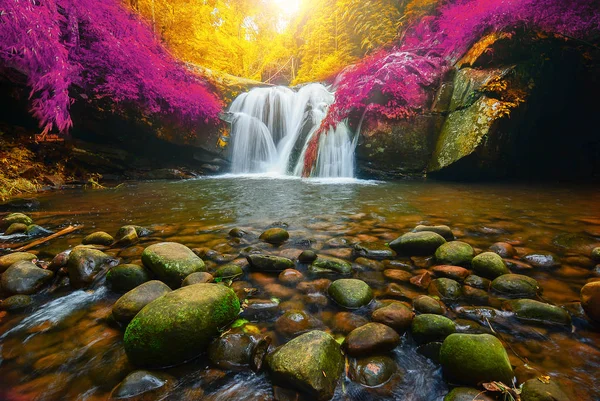 Phu Soi Dao Cascata con foglie gialle e rosa autunno , — Foto Stock