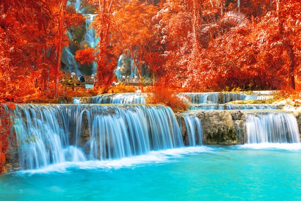 Az őszi erdő, vízesés nevek "Tat Kuang Si Waterfalls" — Stock Fotó