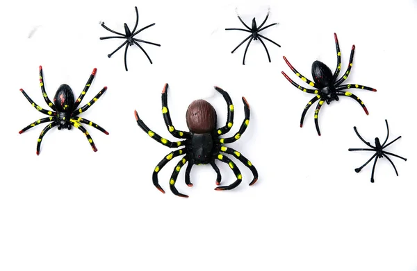 Концепция праздника Хэллоуин группа пауков ходить по паутине на — стоковое фото