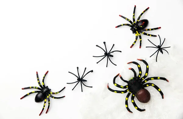 Halloween holiday concept group of spider walk on spider web on — Stock Photo, Image