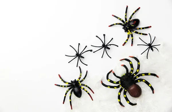 Концепция праздника Хэллоуин группа пауков ходить по паутине на — стоковое фото