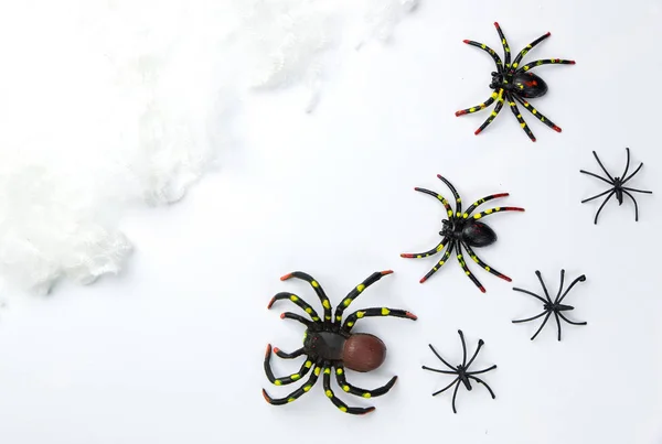 Concetto di festa di Halloween gruppo di ragno passeggiata sulla ragnatela su — Foto Stock