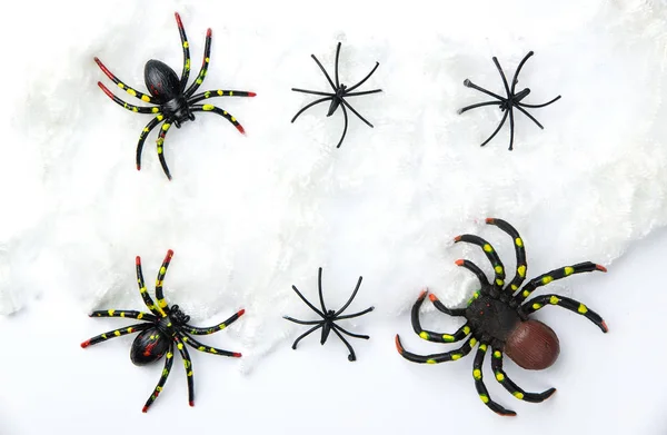 Gruppo di concetto di festa di Halloween di Spider Walk su ragnatela su sfondo bianco. Pronto per la visualizzazione del prodotto — Foto Stock