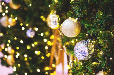 Portre ve altın ve gümüş önemsiz şey asılı seçici odak 