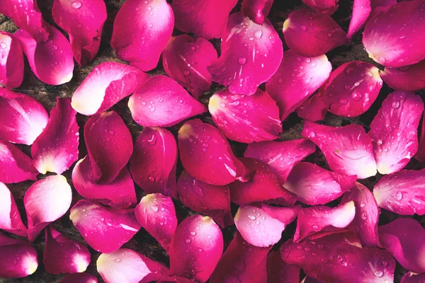 Rosa patrón de decoración de pétalos de rosa para el día de San Valentín, boda —  Fotos de Stock