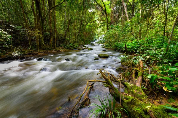 Cascata cade sopra tronco muschiato nella foresta pluviale con fiume chiaro lo — Foto Stock