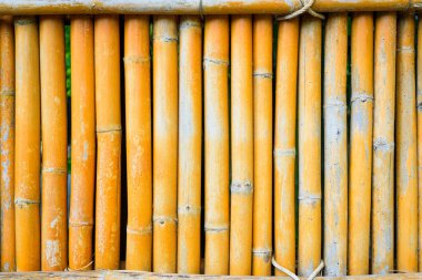 arka plan doku için eski sesi bambu çit