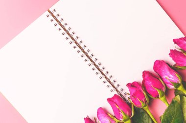 Pembe Gül en iyi görünüm düz boş Not Defteri ile dekoratif fo yatıyordu