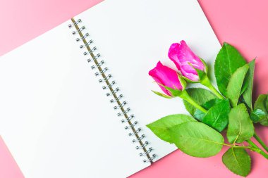 Pembe Gül en iyi görünüm düz boş Not Defteri ile dekoratif fo yatıyordu