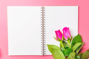 Pembe Gül en iyi görünüm düz boş Not Defteri ile dekoratif fo yatıyordu