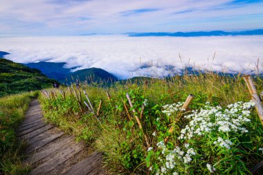 Scenic sea of fog with wooden walk way in Kew Mae Pan nature tra clipart