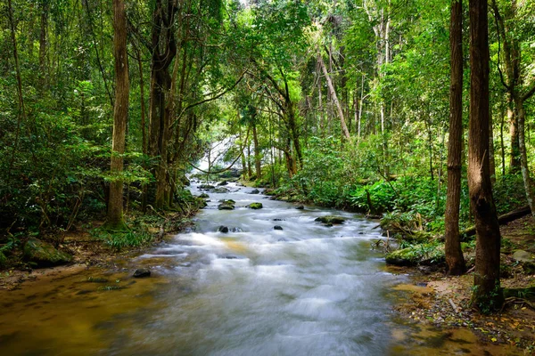 Cascada cae sobre tronco musgoso en la selva tropical con río claro lo —  Fotos de Stock