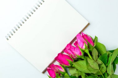 Pembe Gül en iyi görünüm düz boş Not Defteri ile dekoratif fo yatıyordu